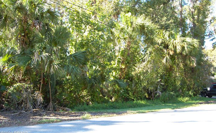 Pictures of Land property located at 332 Patricia Drive, New Smyrna Beach, FL 32168 for sales - image #1
