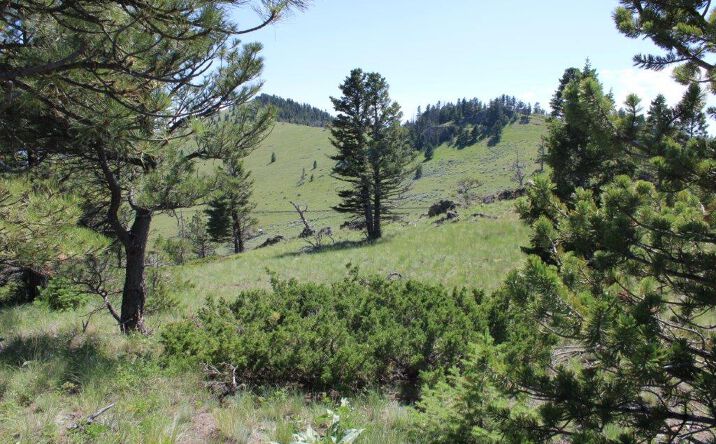 Pictures of Land property located at TBD Black Canyon Lane, Cascade, MT 59421 for sales - image #1