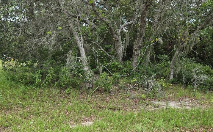 Pictures of Land property located at Mediterranean Court, Poinciana, FL 34759 for sales - image #1