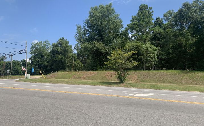 Pictures of Land, Business for Sale property located at 00 U. S. Highway 90, Sneads, FL 32460 for sales - image #1