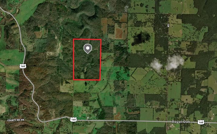 Pictures of Retail, Land property located at 1199 US-160, Alton, MO 65606 for sales - image #1