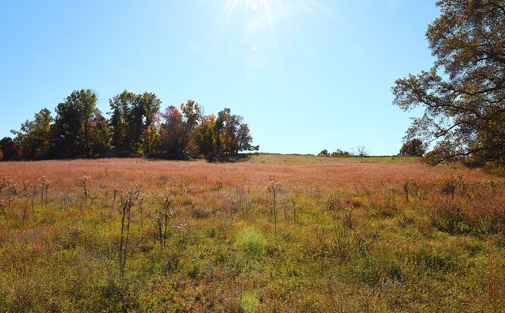 Pictures of Land property located at 257 Hubbard Cemetery Rd, Edmonton, KY 42129 for sales - image #1