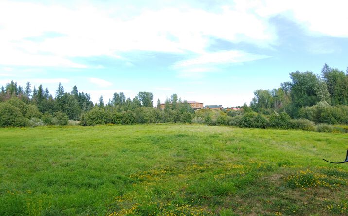 Pictures of Land property located at 477504 US-95, Ponderay, ID 83852 for sales - image #1