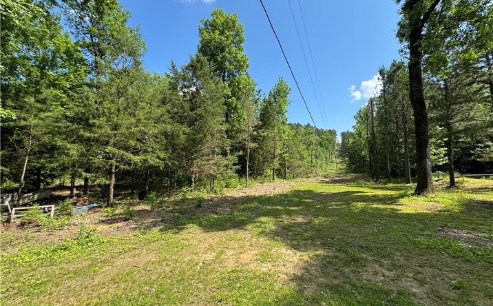 Pictures of Land property located at TBD Nella Rd, Mena, AR 71953 for sales - image #1