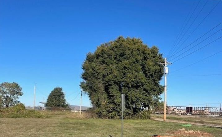 Pictures of Land property located at 823 N 2nd St, Fort Smith, AR 72901 for sales - image #1