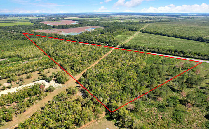 Pictures of Land property located at Farm to Market 1960 Rd E, Huffman, TX 77336 for sales - image #1