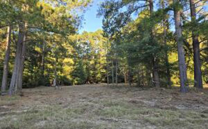 Pictures of Land property located at Tbd 15 Ac Blue Bonnet Valley Road Road, Williston, SC 29853 for sales - image #1