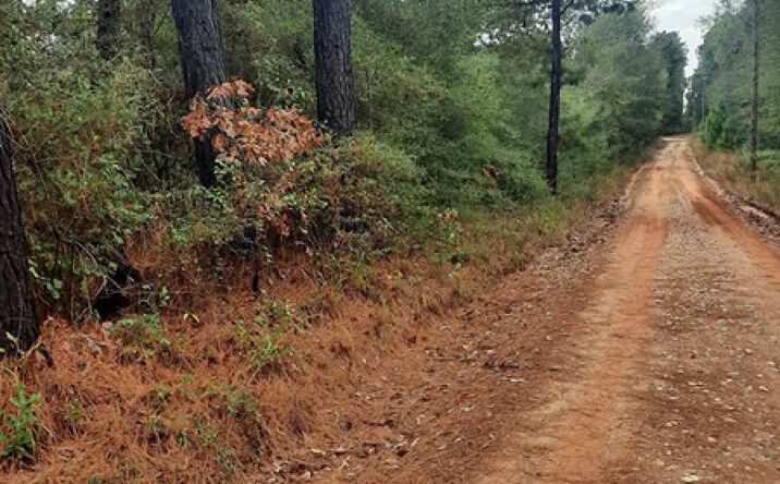 Pictures of Land property located at 2900 County Road 3390, Crockett, TX 75835 for sales - image #1