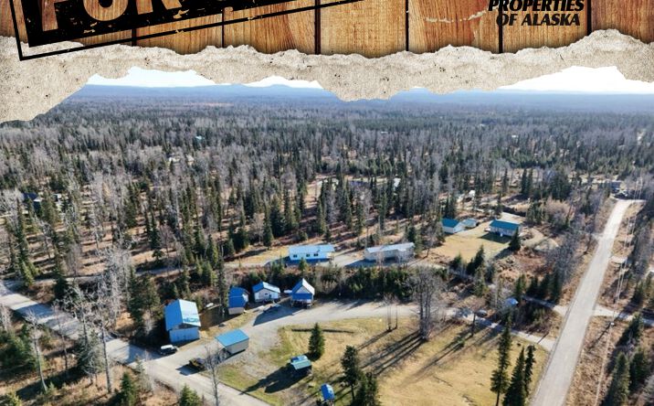 Pictures of Business for Sale, Hospitality, Multifamily property located at 65449 Lingonberry Rd, Ninilchik, AK 99639 for sales - image #1