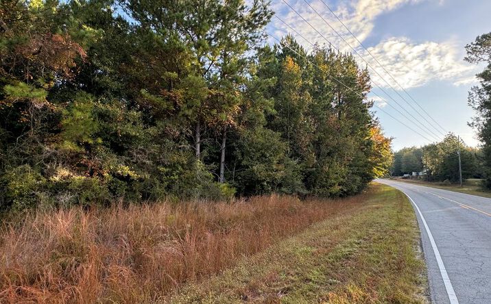 Pictures of Land property located at Co Rd 215, Jack, AL 36346 for sales - image #1