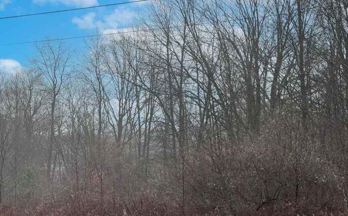 Pictures of Land property located at 7326 St Rt 19 Lot 146, Mount Gilead, OH 43338 for sales - image #1