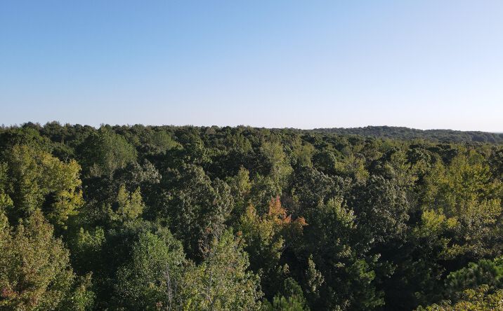 Pictures of Land property located at 0 Mt Gilead Road, Cedar Grove, TN 38321 for sales - image #1