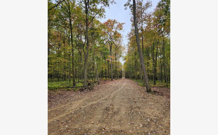 Boone Mountain - Heigel Road Rd 1-2-5-6, Kersey, Kersey, PA 15846 ...