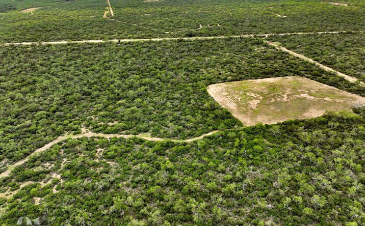 Pictures of Land property located at Deer Creek Rd, D'Hanis, TX 78850 for sales - image #1