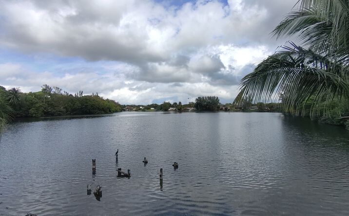 Pictures of Land property located at 13901 NW 17th Ave, Miami, FL 33167 for sales - image #1