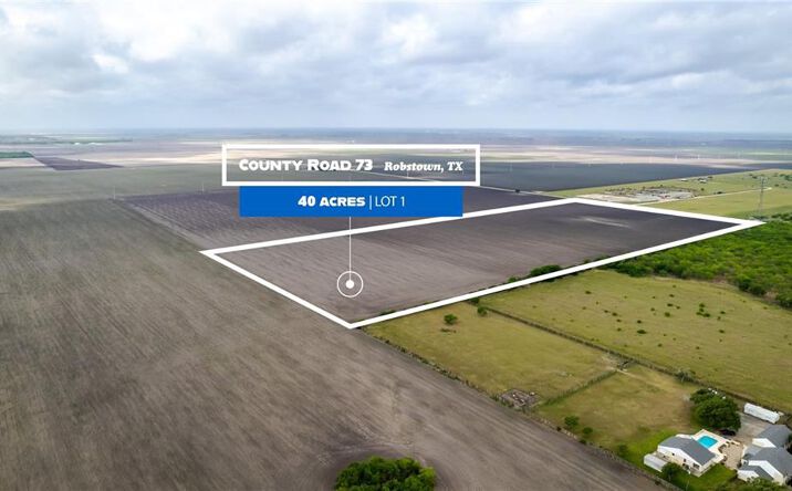 Pictures of Land property located at Co Rd 73, Robstown, TX 78380 for sales - image #1