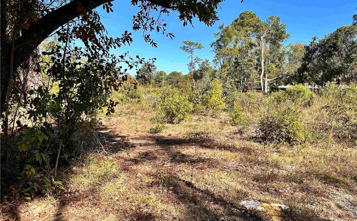 Pictures of Land property located at Greeno Rd, Fairhope, AL 36532 for sales - image #1