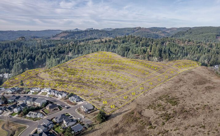 Pictures of Land property located at 2003290000206 Cottage Grove, Curtin, OR 97424 for sales - image #1