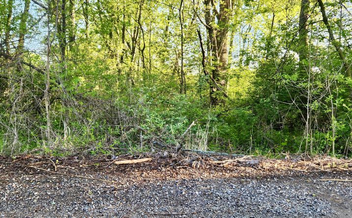 Pictures of Land property located at VL N 120th Avenue, Holland, MI 49424 for sales - image #1