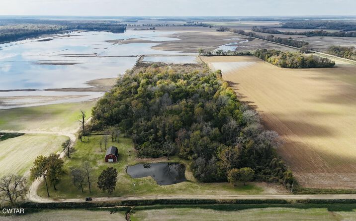 Pictures of Land property located at 0 HWY 88, Halls, TN 38040 for sales - image #1