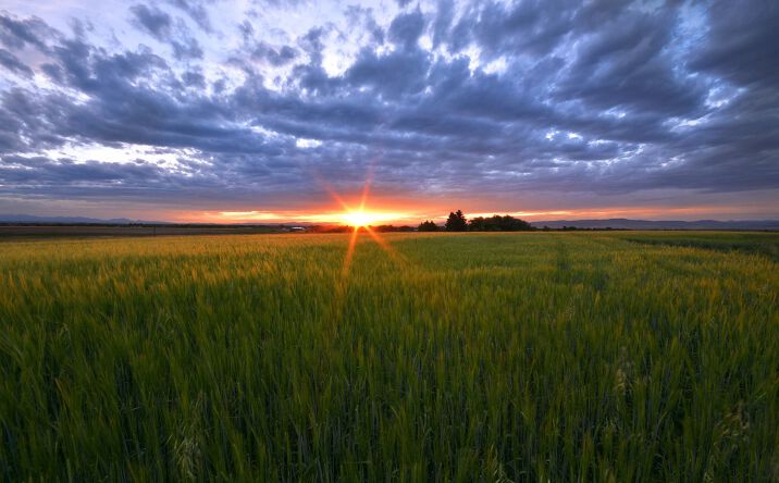 Pictures of Land property located at TBD Penwell Bridge Road, Belgrade, MT 59714 for sales - image #1