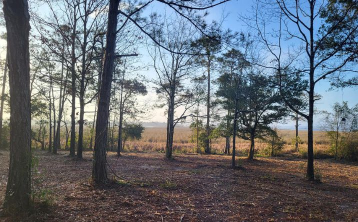 Pictures of Land property located at W Oaklawn Rd, Biloxi, MS 39532 for sales - image #1