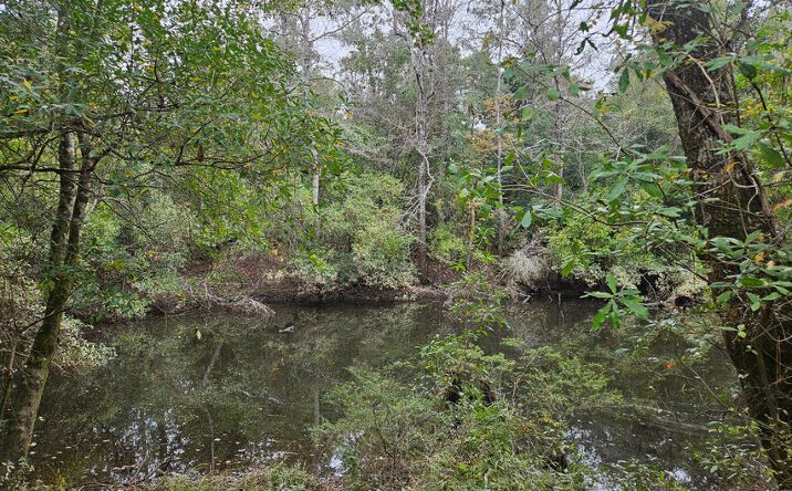 Pictures of Land property located at River Road, Gulfport, MS 39503 for sales - image #1