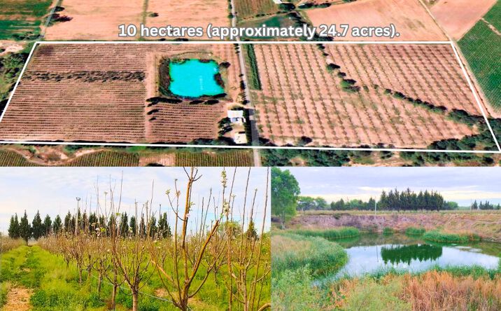 Pictures of Business for Sale, Land, Mixed Use property located at 4PJ2+HGP San Luis de Letras, Aguascalientes, Mexico, null, MX null for sales - image #1