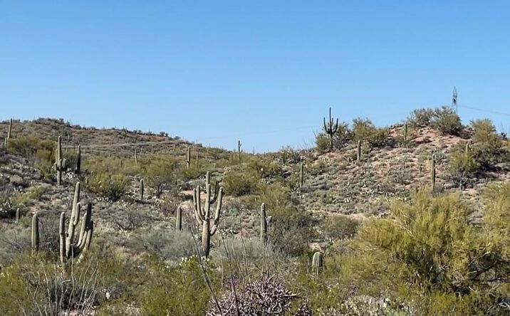 Pictures of Land property located at 0 S Deerfield Road, Marana, AZ 85658 for sales - image #1