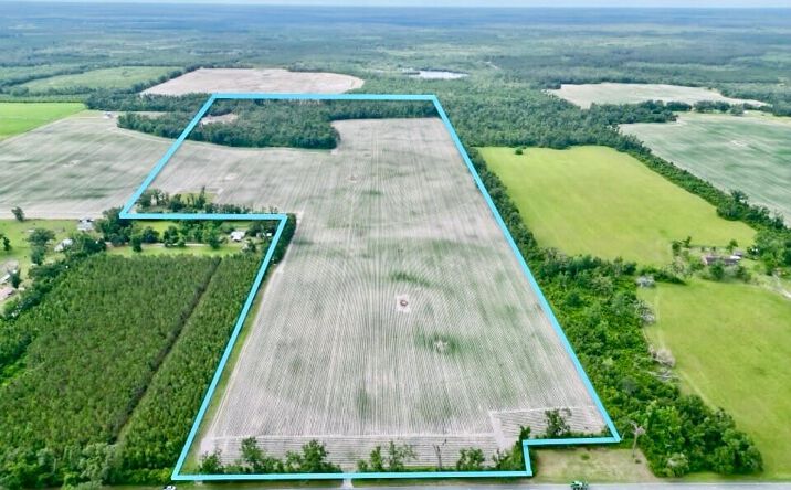 Pictures of Land, Business for Sale property located at VAC SW County Road 534, Mayo, FL 32066 for sales - image #1