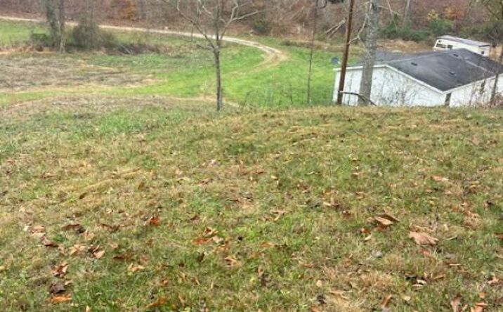 Pictures of Land property located at 573 June Crk Rd, West Liberty, KY 41472 for sales - image #1