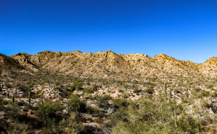 Pictures of Land property located at 0 Alley Rd, Ajo, AZ 85321 for sales - image #1