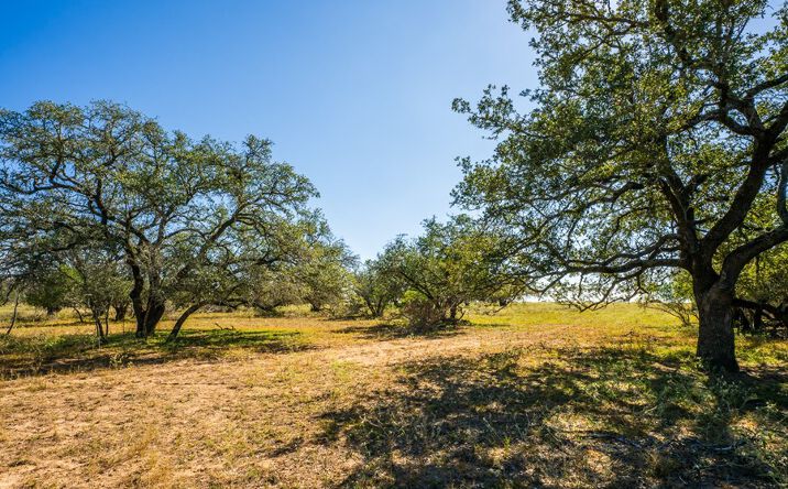Pictures of Land property located at 1790 W Goodwin St and Cedar St, Pleasanton, TX 78064 for sales - image #1