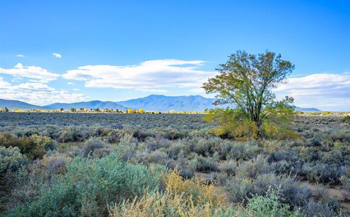 Pictures of Land property located at 0 Paseo del Canon and Weimer Rd, Taos, NM 87571 for sales - image #1