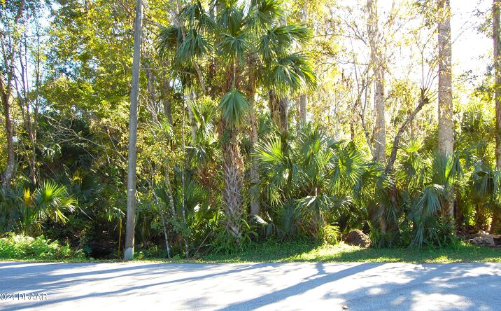 Pictures of Land property located at 0 Palm Drive, New Smyrna Beach, FL 32168 for sales - image #1