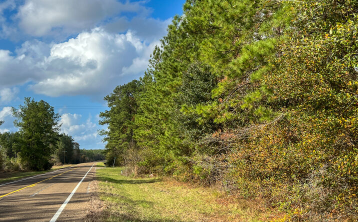 Pictures of Land property located at 0 FM 2460, Bon Wier, TX 75928 for sales - image #1