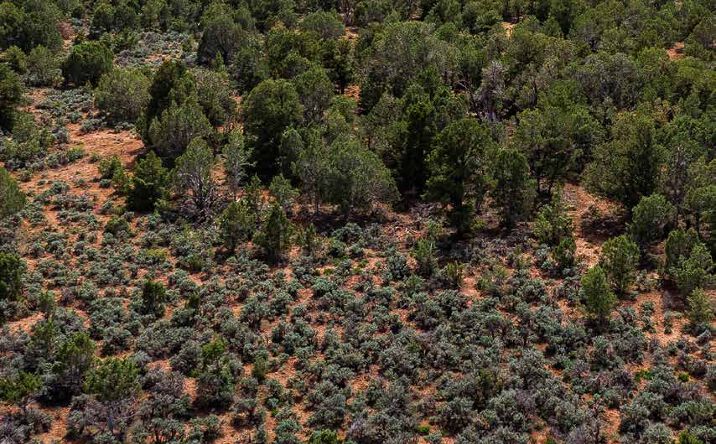 Pictures of Land property located at La Sal Blue Mountains Ranch (TBD), Monticello, UT 84535 for sales - image #1
