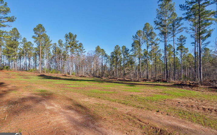 Faust Farm Rd, Crawford, GA 30630 | Crexi.com