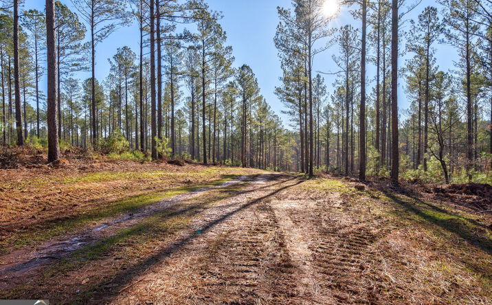 Faust Farm Rd, Crawford, GA 30630 | Crexi.com