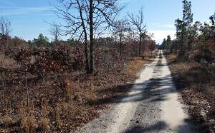 Pictures of Land property located at 0 Windsor Road, Windsor, SC 29856 for sales - image #1