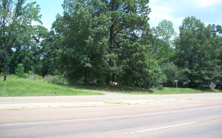 Pictures of Land property located at 5400 US-80, Pearl, MS 39208 for sales - image #1
