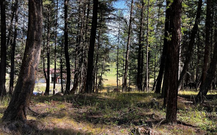 Pictures of Land property located at NHN Crystal Lakes Drive, Eureka, MT 59917 for sales - image #1