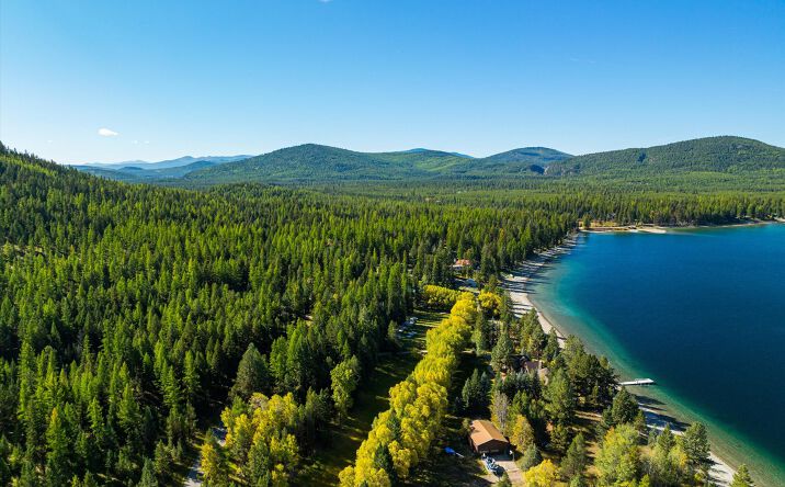 Pictures of Land property located at 853 Bitterroot Drive, Marion, MT 59925 for sales - image #1