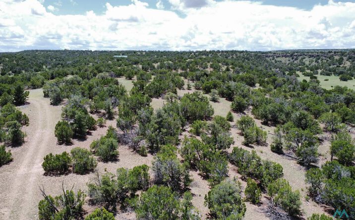 Pictures of Land property located at Lot 46 Cimarron Drive, Quemado, NM 87829 for sales - image #1
