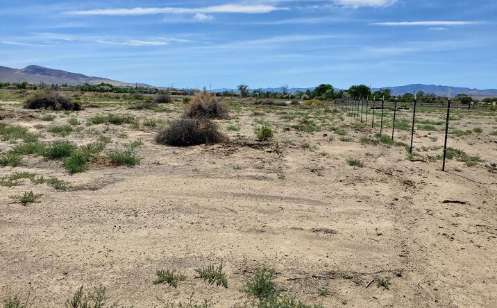 Pictures of Land property located at 3510 US Hwy 95a N, Silver Springs, NV 89429 for sales - image #1