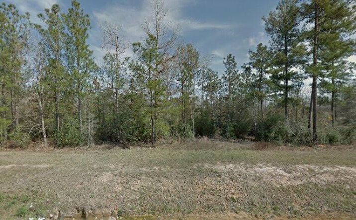 Pictures of Land property located at 3700 Pollok Dr, Conroe, TX 77303 for sales - image #1