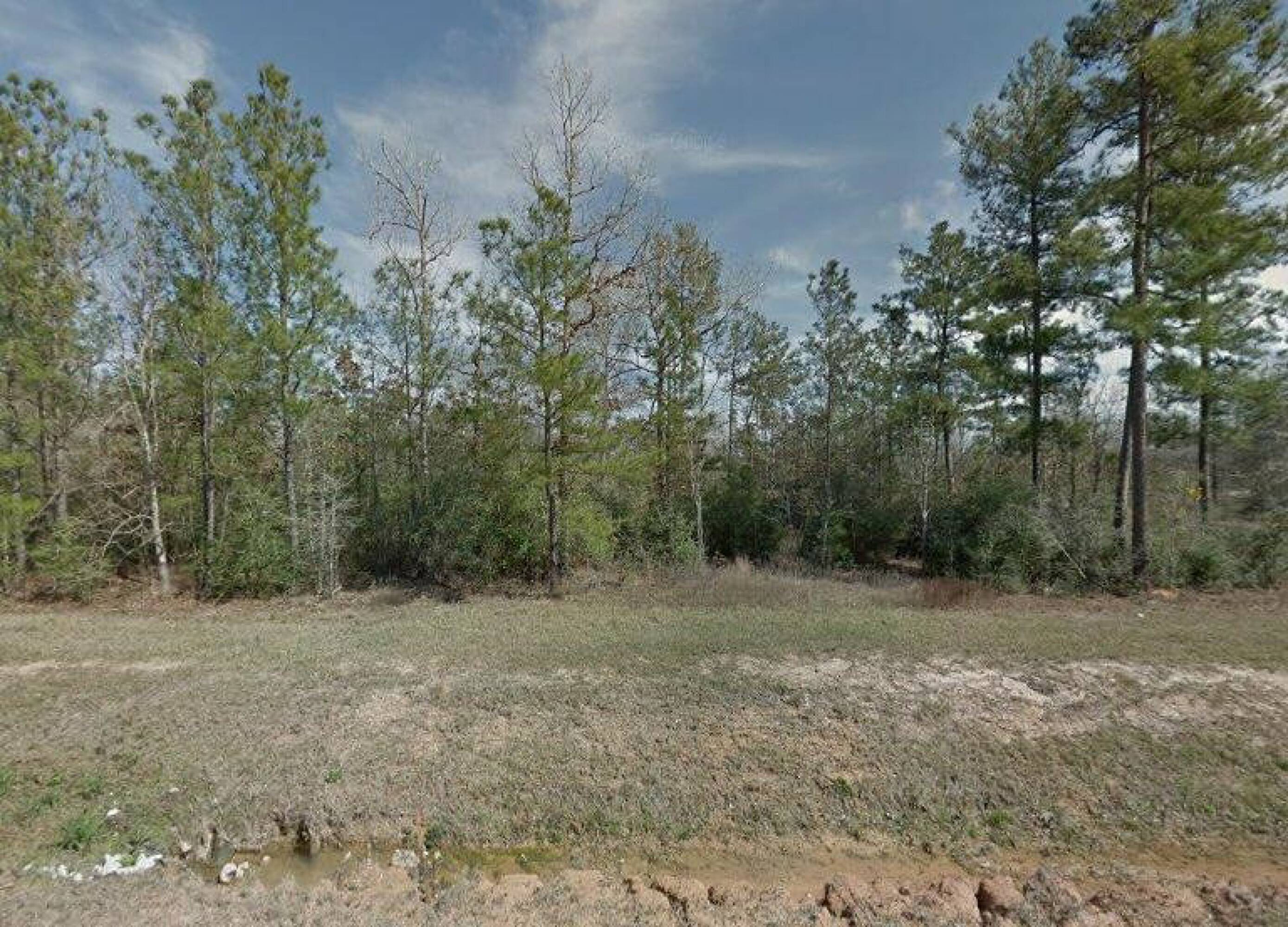 23.637 Acres for sale on Conroe