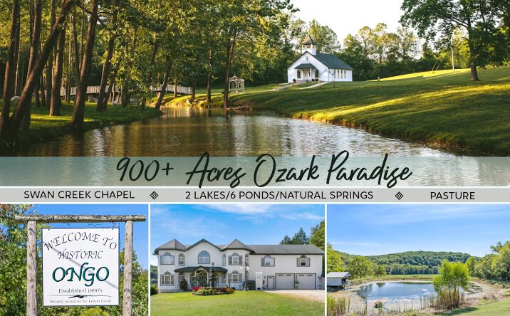 Pictures of Hospitality, Land, Mixed Use, Multifamily, Special Purpose property located at County Rd U U-551, Sparta, MO 65753 for sales - image #1