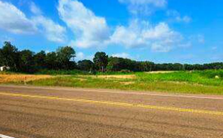 Pictures of Land property located at Scott St, Senatobia, MS 38668 for sales - image #1