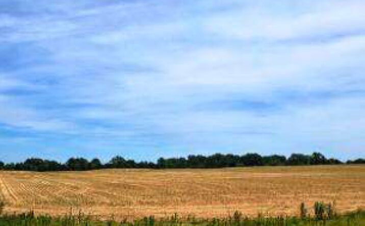 Pictures of Land property located at Shands Bottom Rd, Senatobia, MS 38668 for sales - image #1